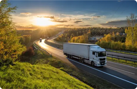 Customs outsourcing in the digital era. Why technological competence and EU integration define the future.