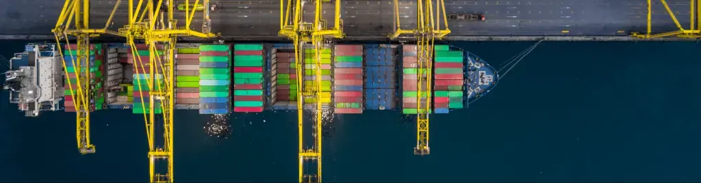 Nieuw EU-systeem voor aanvragen uniestatusbewijzen T2L en T2LF.