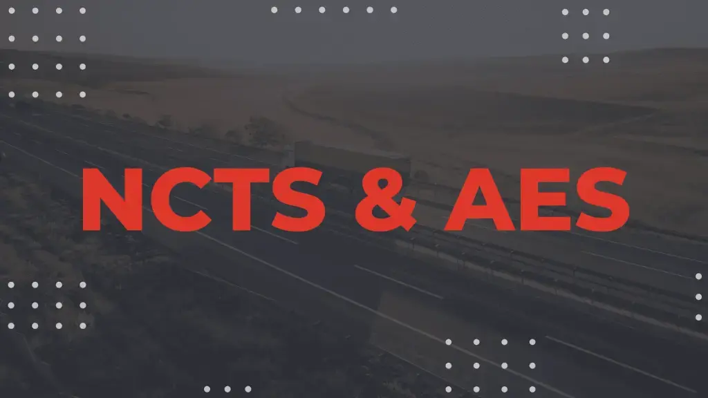 Are you already familiar with the new changes of NCTS 2.0 en AES 3.0? If not, we have listed them for you!