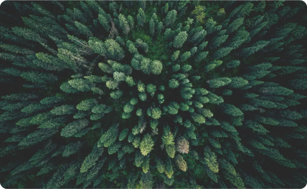 CSRD: Mandatory sustainability reporting for all large companies in the EU. 