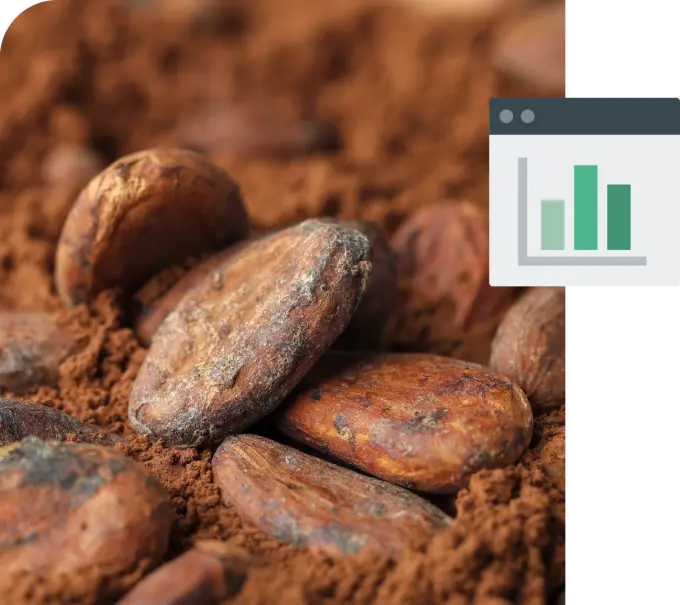 image-eudr-cocoa.png