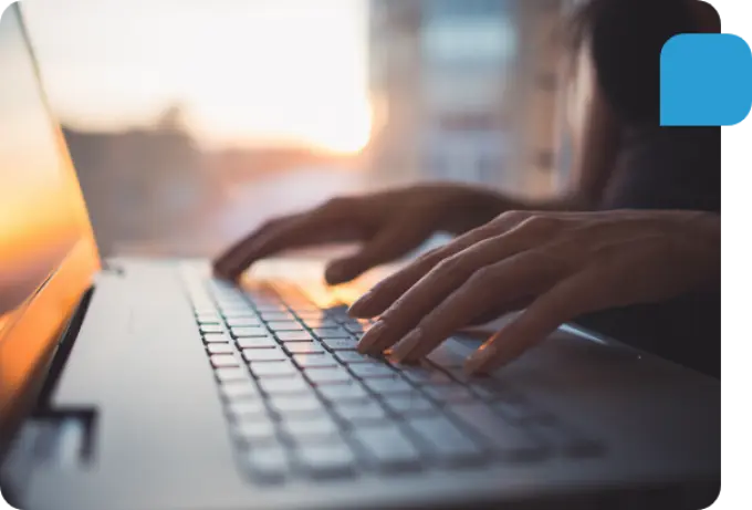 Fachwissen über EUDR-Vorschriften