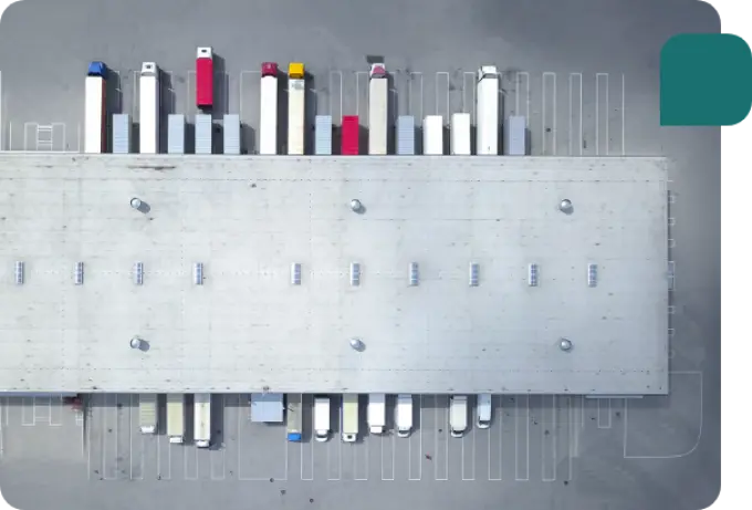 Unbiased excellence in customs